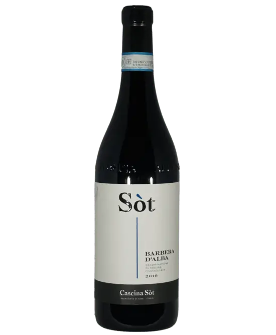 Barbera d' Alba DOC 2022