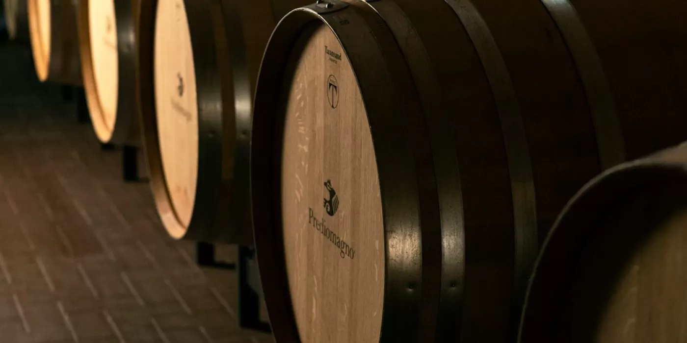 Prediomagno Barrique