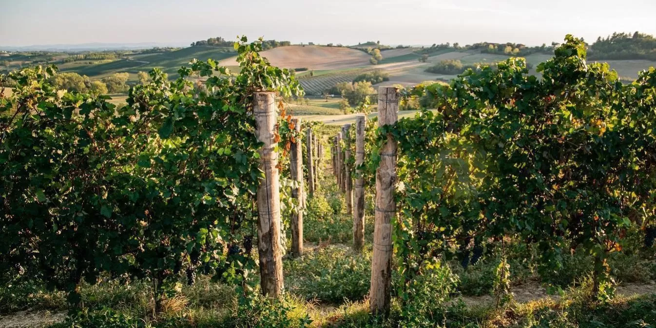 PredioMagnoCanon-15011